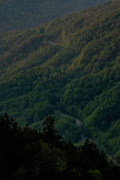 Gluren Uitzicht Nieuw Gevonden Gap Road Great Smoky Mountains National — Stockfoto