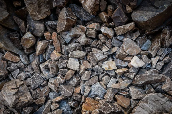 Sharp Rocky Trail Texture Près Sommet Wheeler Peak — Photo