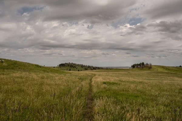 Thin Trail Cuts Thick Prairie Black Hills Wind Cave National — Stock Photo, Image
