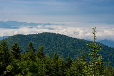 Bulutlar vadide toplanıyor Clingmans Kubbesi 'nin altındaki Dumanlı Dağlarda