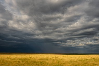 Dramatic Clouds Over Yelow Field in Countryside of Suth Dakota clipart