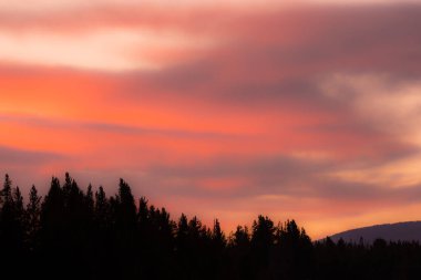 Yellowstone Ulusal Parkı 'nın dağlarında Gökyüzündeki Yangın