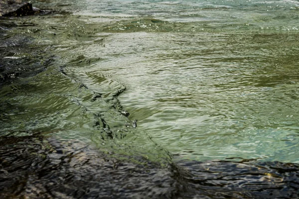 Szklana Faktura Mcdonald Creek Przepływająca Przez Flathead Valley Glacier National — Zdjęcie stockowe