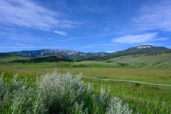 Sagebrush Depan Bergulir Pedesaan Luar Taman Nasional Yellowstone — Stok Foto