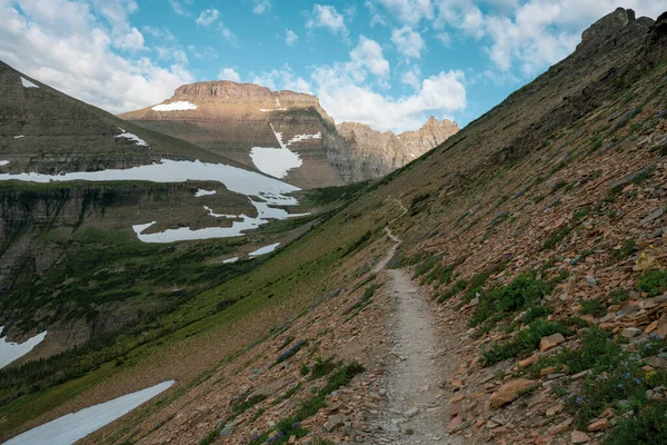 Thin Trail Winds Mountain Slope Piegan Pass Montana Glacier National —  Fotos de Stock