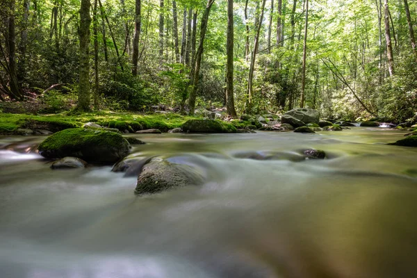Woda Pędzi Wokół Głazów Tremont Creek Parku Narodowym Great Smoky — Zdjęcie stockowe