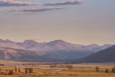 Yellowstone Ulusal Parkı 'ndaki Hayden Vadisi' nde Akşam Işığı