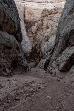 Utah 'taki Capitol Resifi' nde Grand Wash Patikası 'nda yürüyüş.