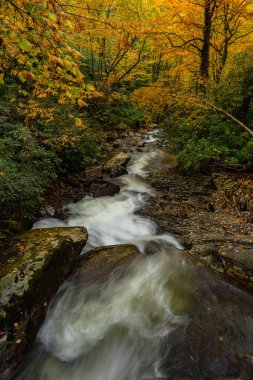 Sonbaharda Büyük Dumanlı Dağlar 'da Dar Dere Tepesi Kayaların Üzerinde
