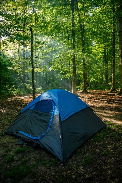 Raggi Sole Brillano Sopra Tenda Nella Foresta Estate — Foto Stock