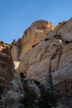 Grand Wash Patikası boyunca uzanan uzun beyaz uçurumların altından geçen patika.