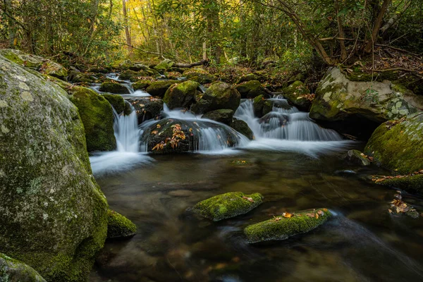 Małe Nienazwane Wodospady Rushing Creek Parku Narodowym Great Smoky Mountains — Zdjęcie stockowe