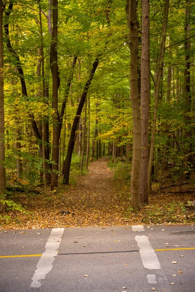 Trail Crosses Road Green Forest Cuyahoga Valley National Park — Stock Photo, Image