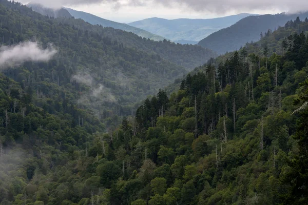 Whispen Van Mist Convergerende Bergen Great Smoky Mountains National Park — Stockfoto