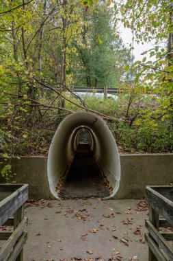 Cuyahoga Vadisi Ulusal Parkı 'nda Yol Altında Yumurta Şeklinde Tünel