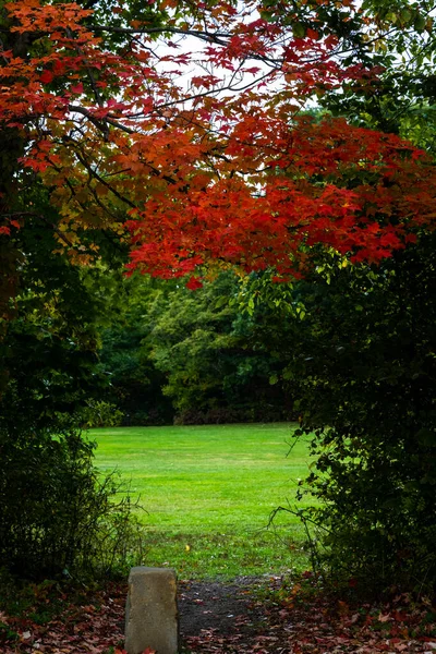 Primeros Rojos Otoño Sobre Campo Verde Parque Nacional Valle Cuyahoga —  Fotos de Stock