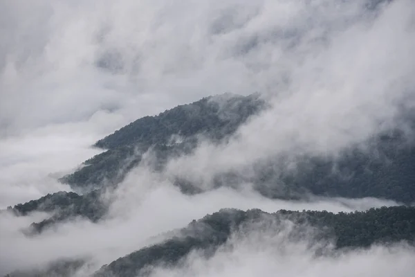 Montañas Asoman Por Encima Espesa Niebla Parque Nacional Las Grandes — Foto de Stock