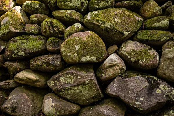 Mossen Groeit Droge Gestapelde Stenen Muur Langs Mckee Branch Trail — Stockfoto