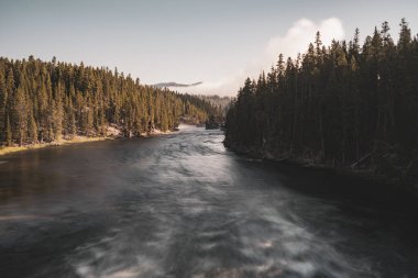 Yellowstone Nehri 'nin girdap gibi akan suları Sabahları sis dağılırken