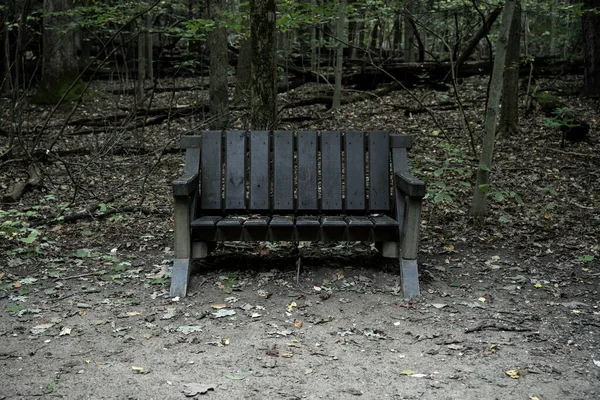 Small Brown Bench Woods Cuyahoga Valley National Park — Stock Photo, Image