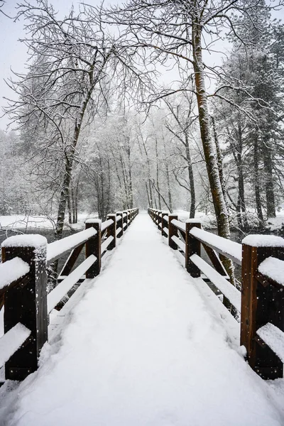 Snow Covered Bridge Winter Storm Yosemite Valley — Stock Photo, Image