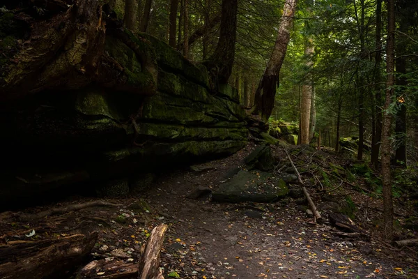 Worn Trail Passes Mossy Cliff Cuyahoga Valley National Park — Fotografia de Stock