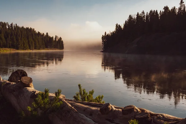 Rzeka Yellowstone Znika Mgle Cichy Letni Poranek — Zdjęcie stockowe