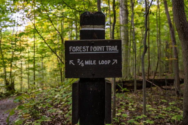 Forest Point Trail Sign — Stock Photo, Image