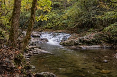 Büyük Dumanlı Dağlar Ulusal Parkı 'nda Sonbaharın Başında Küçük Şelale Akıyor