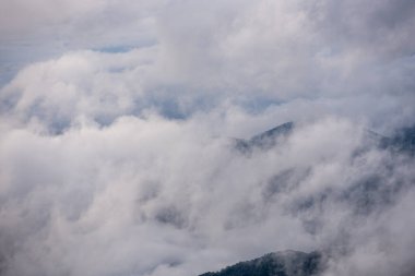 Büyük Dumanlı Dağlar Ulusal Parkı 'nda Sis Engelledi