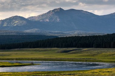 Yazın Yellowstone Nehri 'nin üstünde Washburn Dağı