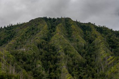 Great Smoky Dağları Ulusal Parkı 'nda Chimney Tepeleri' nin açıkta bırakılmış sırtı