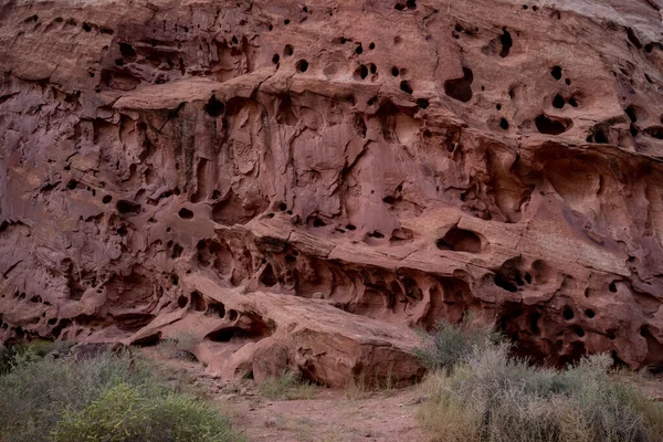Erosion Holes Look Bird Houses Clip Capitol Reef National Park — 스톡 사진