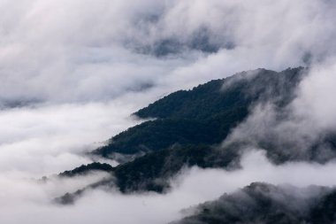 Büyük Dumanlı Dağlar Ulusal Parkı 'ndaki Appalachian Dağları' nın Tüm Çatlaklarını Sis doldurdu