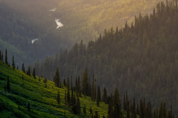 Горные Склоны Встречаются Долине Флатхед Ледникового Национального Парка — стоковое фото