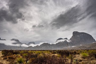 Big Bend Ulusal Parkı 'ndaki Chisos Dağları' nın altındaki Vadi 'de Kış Sisi Yuvarlanıyor