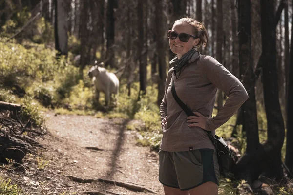 Yürüyüşçü kadın, Buzul Ulusal Parkı 'nda dağ keçisiyle kameraya bakıyor.