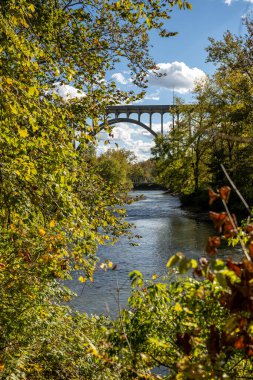 Brecksville-Northfield Bridge Through The Trees
