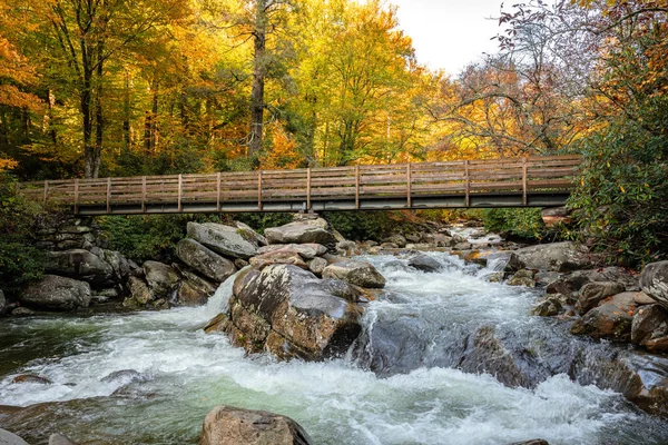 Bridge Little Pigeon River Fall Great Smoky Mountains National Park — Fotografia de Stock
