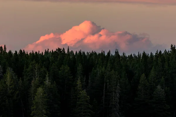Large Clouds Build Sunset Forest Edge Hayden Valley — Foto de Stock
