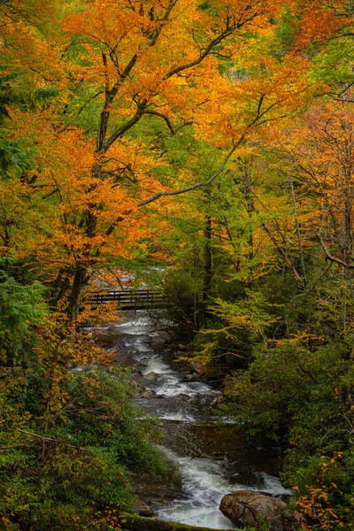 Distant Bridge Surrounded Towering Fall Colored Trees Great Smoky Mountains —  Fotos de Stock