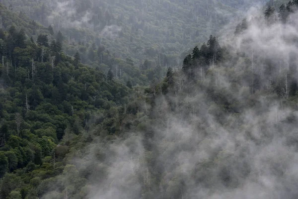 Mist Klampt Zich Vast Aan Convergerende Bergkammen Het Great Smoky — Stockfoto