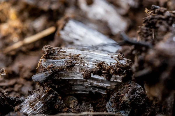 Capas Barro Hielo Agujas Parque Nacional Las Grandes Montañas Humeantes —  Fotos de Stock