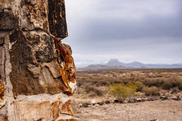 Pohled Zkamenělým Dřevěným Krbem Pohoří Národním Parku Big Bend — Stock fotografie