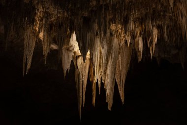 Beyaz Katedral Düzeni Carlsbad Mağaralarının tepesinden sarkmaktadır.