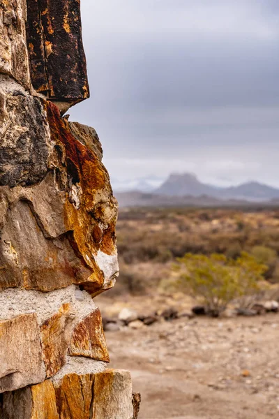 Okraj Zkamenělého Dřevěného Krbu Divočinou Big Bend — Stock fotografie