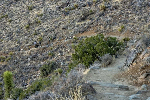 Joshua Tree National Park, United States: March 1, 2021: National Park Crew Works On Rocky Trail Maintenance