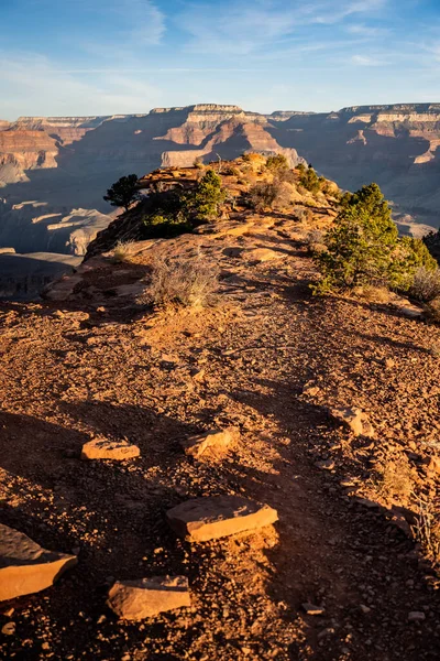 Vägen Till Cedar Ridge Plateau Grand Canyon — Stockfoto