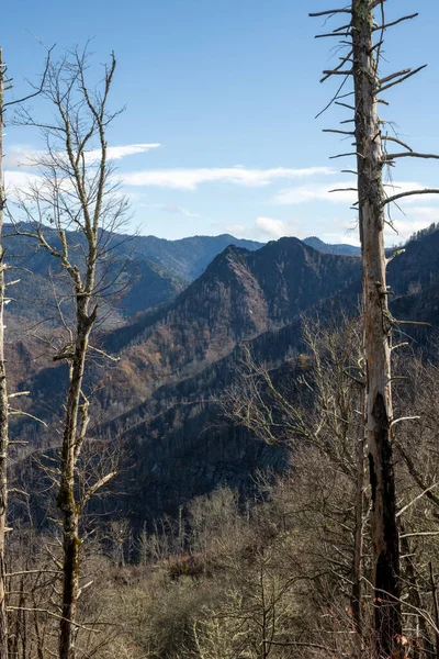 Restos Fogo Florestal Chaminé Cicatrizado Tops Grande Smoky Mountains National — Fotografia de Stock