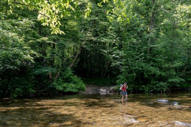 Shin derenin derinliklerinde Smokies 'de bir yürüyüş yapıyor.